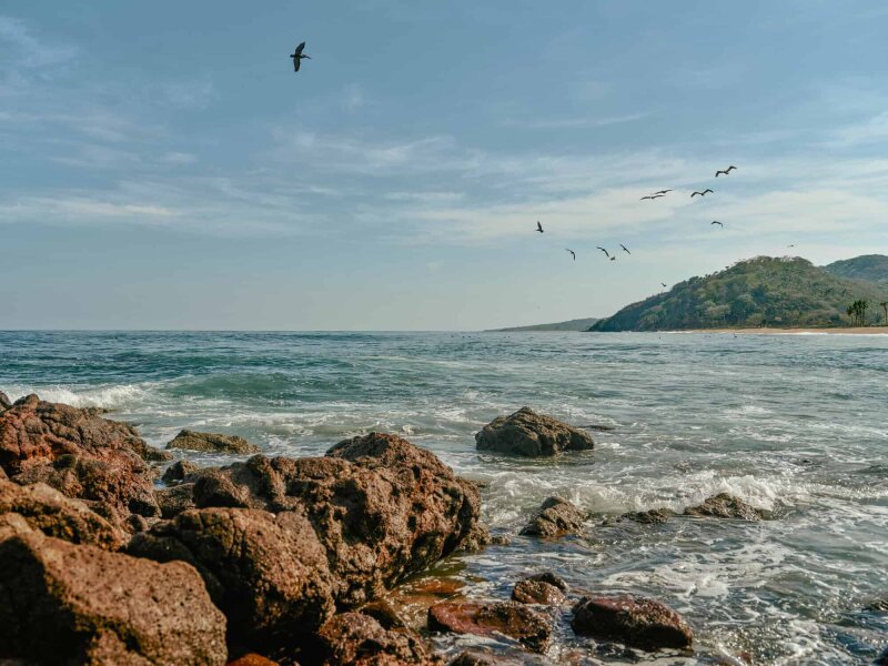 Sea with rocks and birds.
